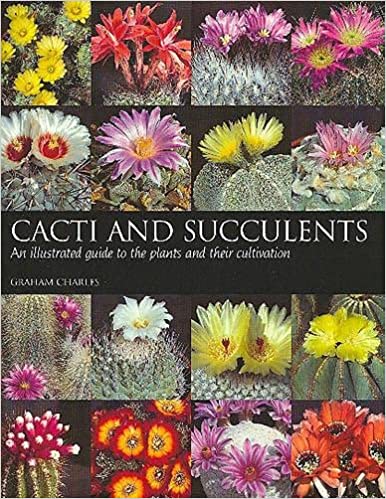 cacti and succulents