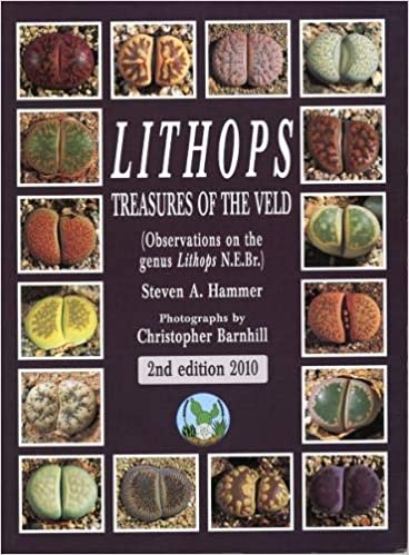 Lithops, treasures of the veld