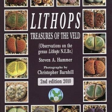 Libros de Lithops