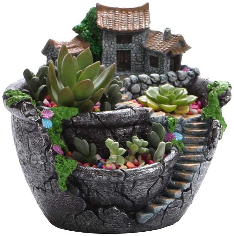 Maceta Creativa para Plantas suculentas
