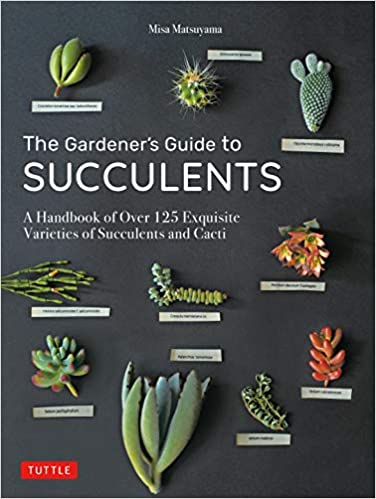 The Gardener's Guide to Succulents